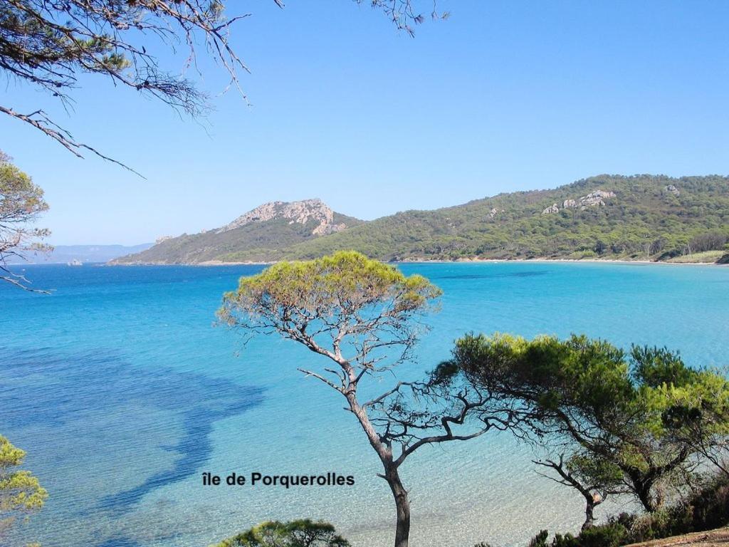 Rez-De-Villa Proche De La Mer - Villa Temana Saint-Cyr-sur-Mer Dış mekan fotoğraf